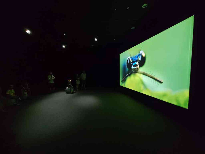 sensory-odyssey-art-science-museum-09