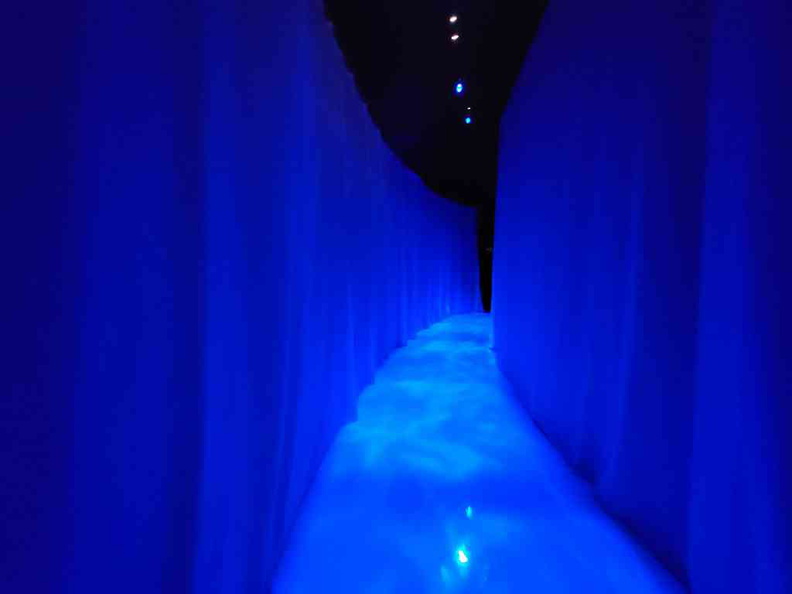 sensory-odyssey-art-science-museum-14