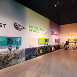 sensory-odyssey-art-science-museum-22