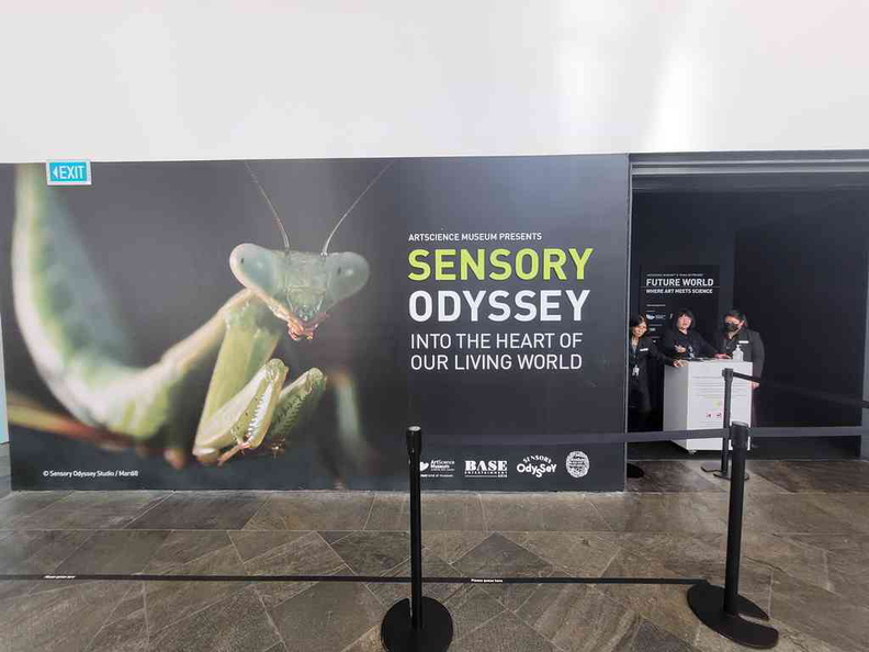 sensory-odyssey-art-science-museum-24.jpg