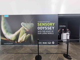 sensory-odyssey-art-science-museum-24