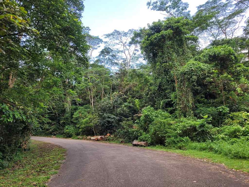 diary-farm-wallace-trail-run-22