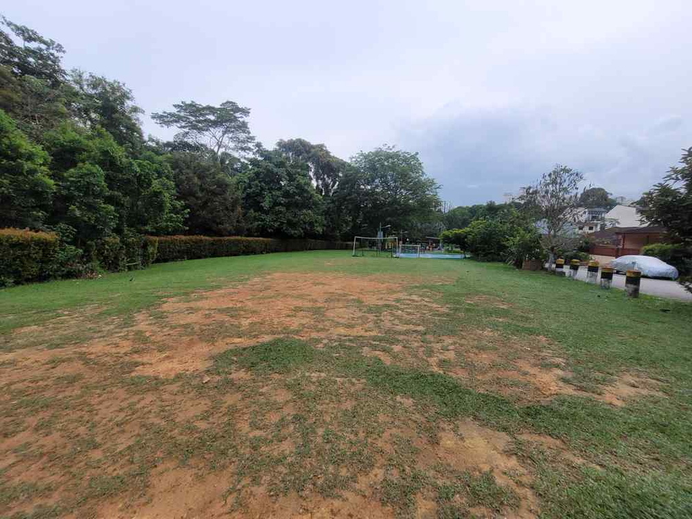 diary-farm-wallace-trail-run-29