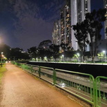 ulu-pandan-park-connector-run-16