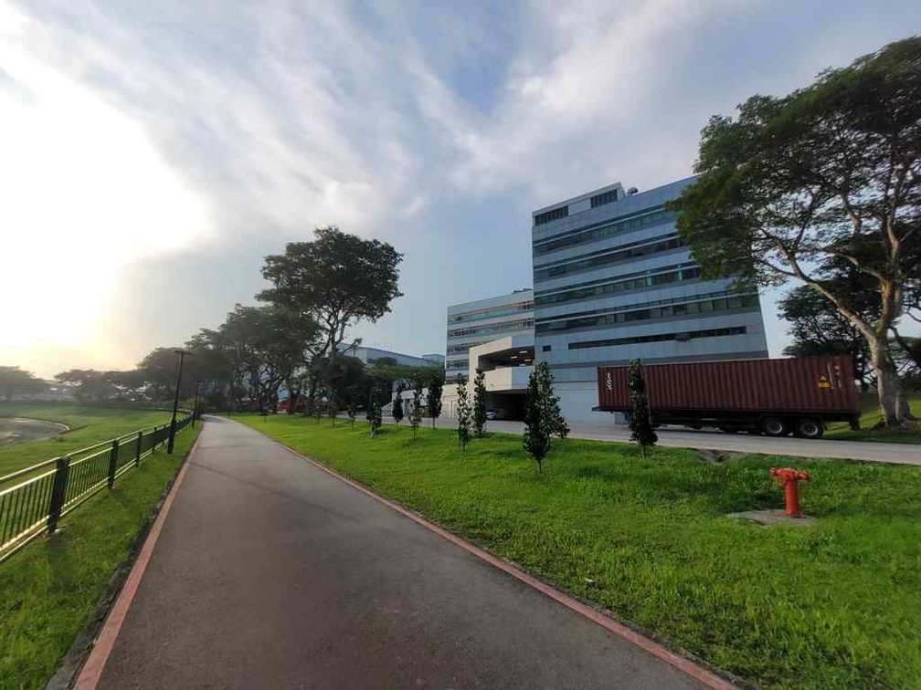 ulu-pandan-park-connector-run-44