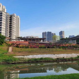 ulu-pandan-park-connector-run-46