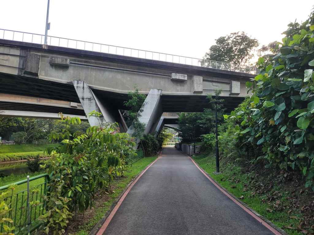 ulu-pandan-park-connector-run-47