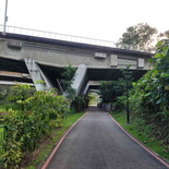 ulu-pandan-park-connector-run-47