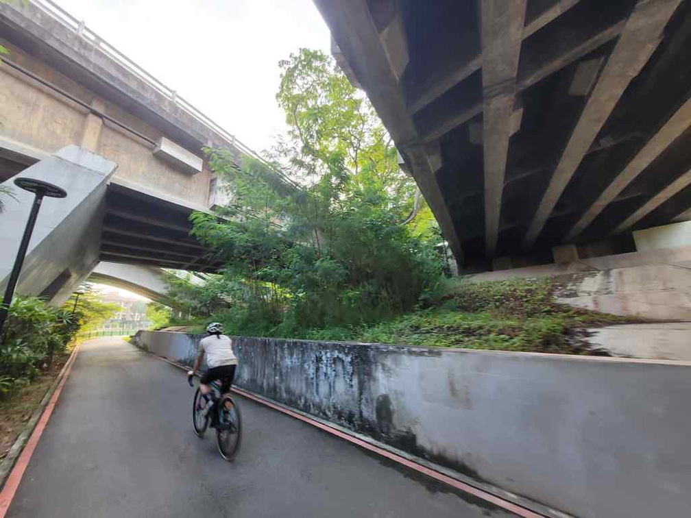ulu-pandan-park-connector-run-48