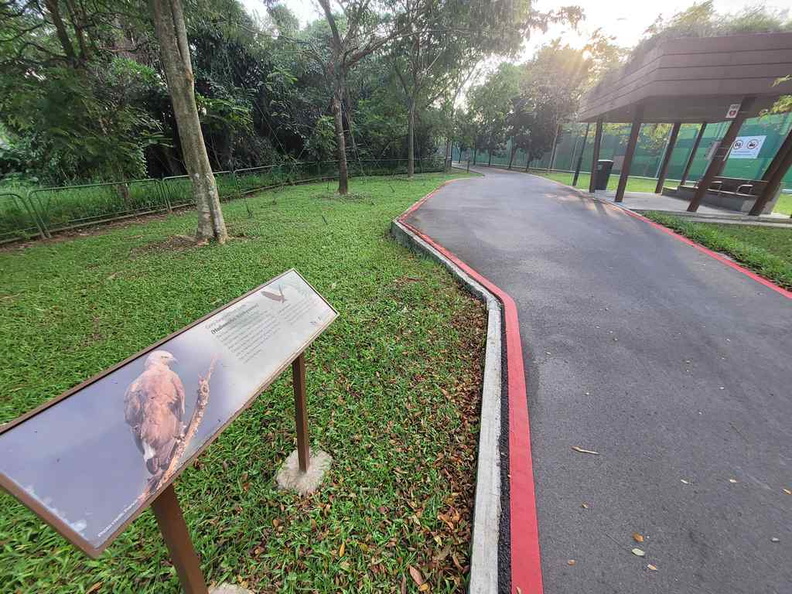ulu-pandan-park-connector-run-51