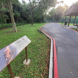 ulu-pandan-park-connector-run-51