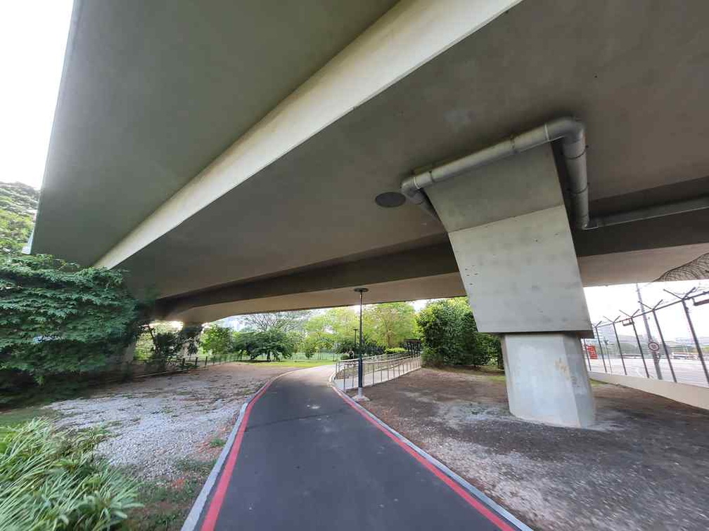 ulu-pandan-park-connector-run-52