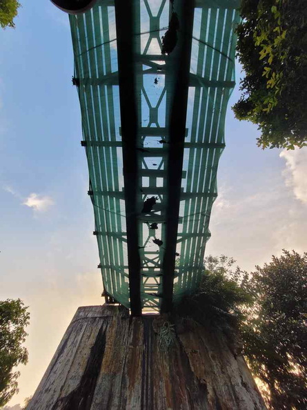 ulu-pandan-park-connector-run-57.jpg