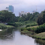 ulu-pandan-park-connector-run-07