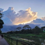 ulu-pandan-park-connector-run-08