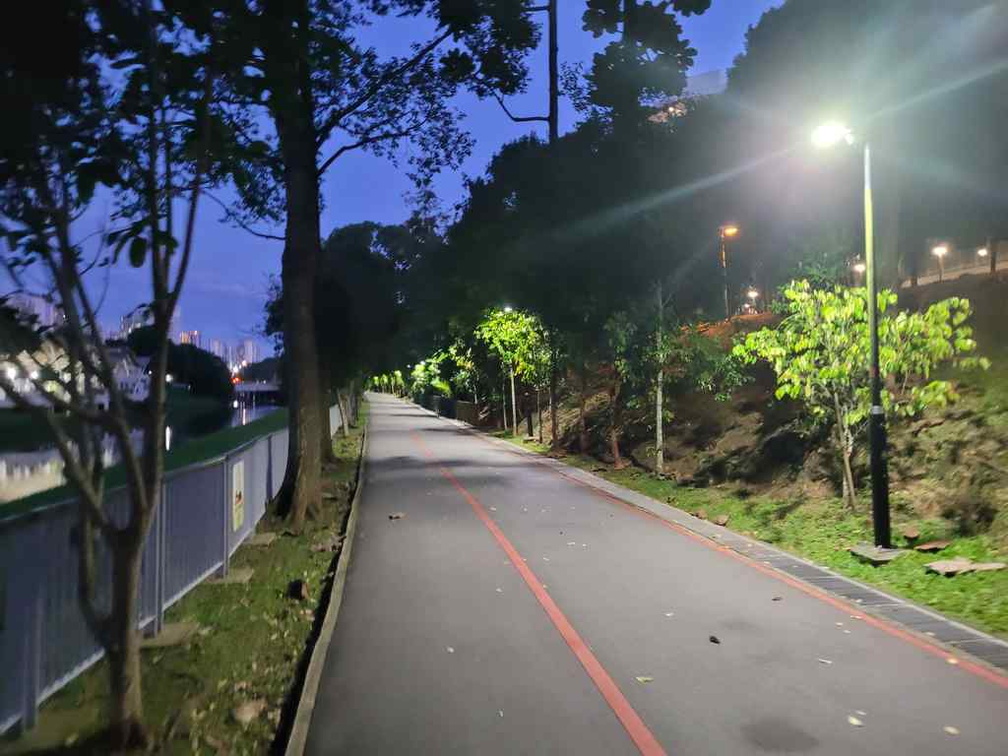 ulu-pandan-park-connector-run-15