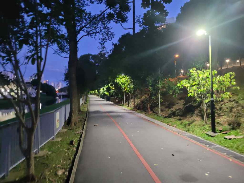 ulu-pandan-park-connector-run-15