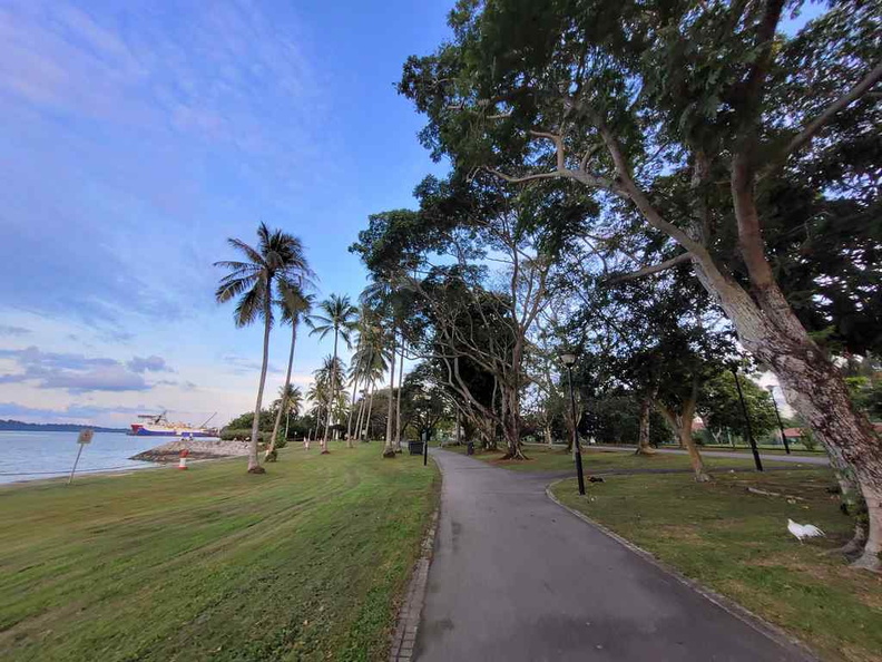 pasir-ris-park-run-17