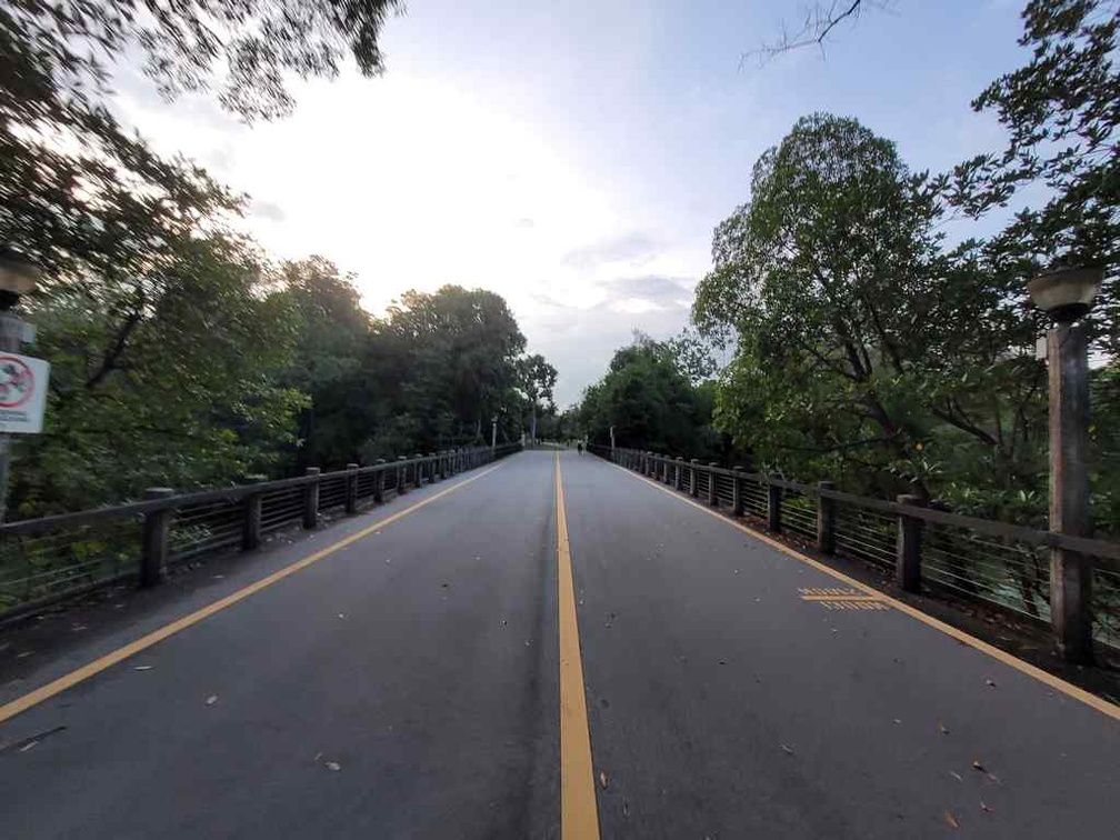 pasir-ris-park-run-22