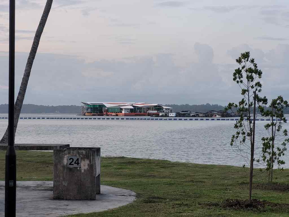 pasir-ris-park-run-25