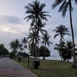 pasir-ris-park-run-26