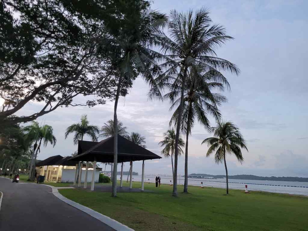 pasir-ris-park-run-29