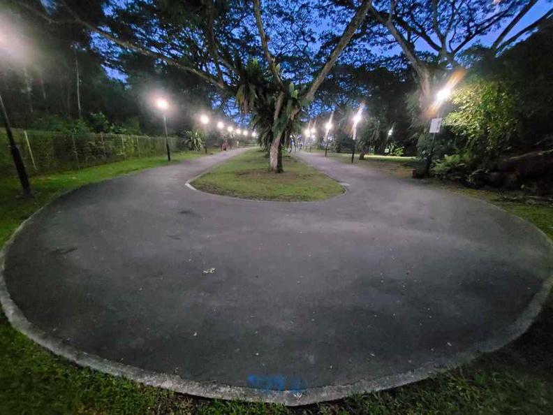 pasir-ris-park-run-36