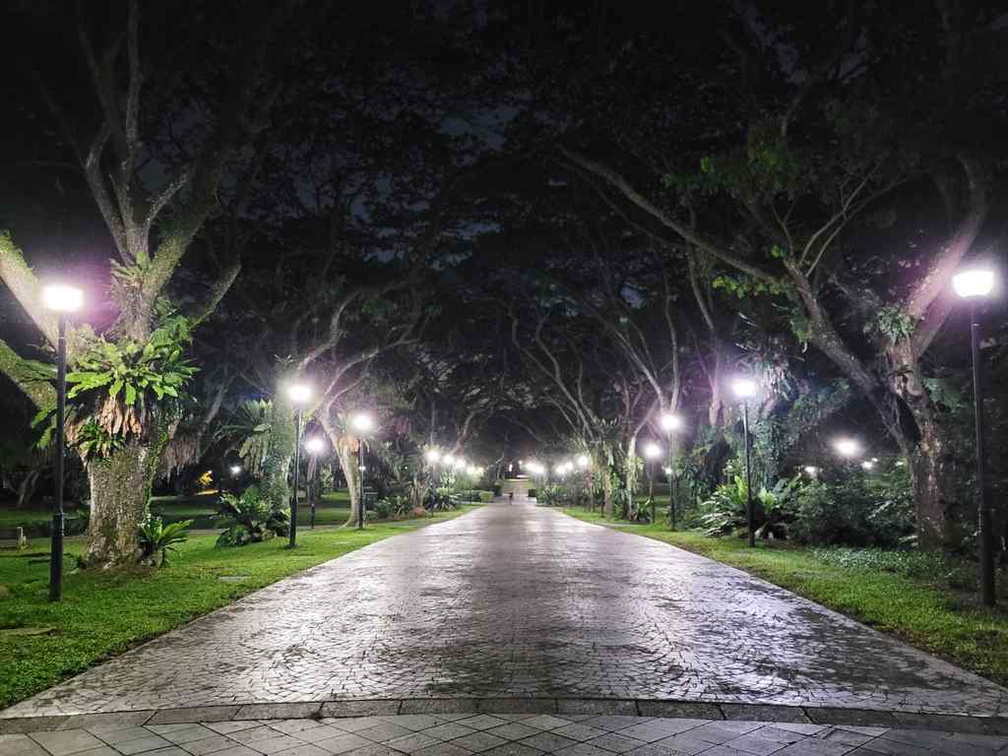 pasir-ris-park-run-42