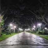 pasir-ris-park-run-42