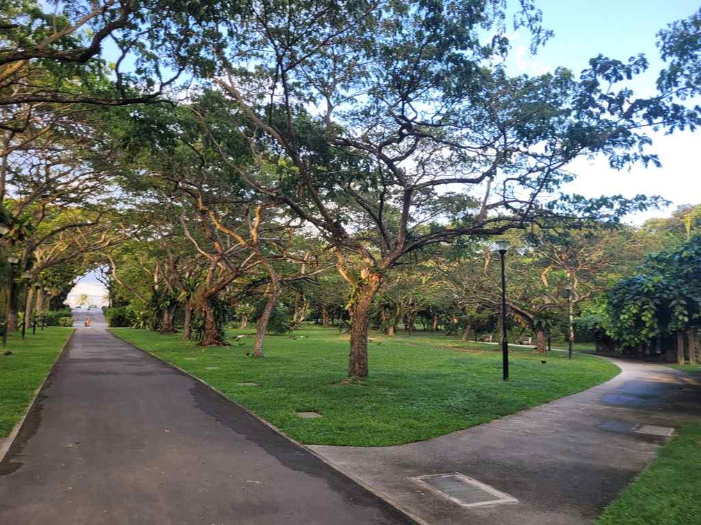 pasir-ris-park-run-03