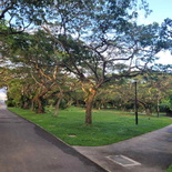 pasir-ris-park-run-03