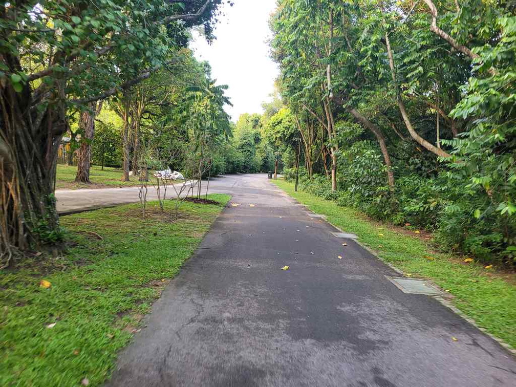 pasir-ris-park-run-02