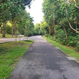 pasir-ris-park-run-02