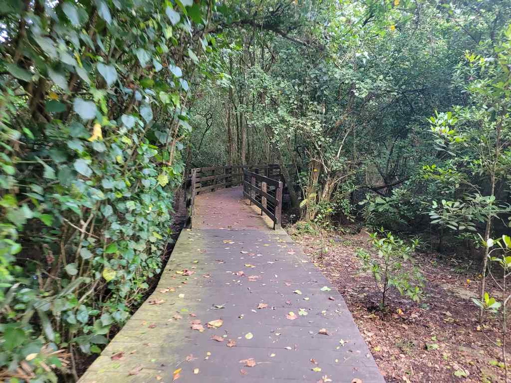 pasir-ris-park-run-04