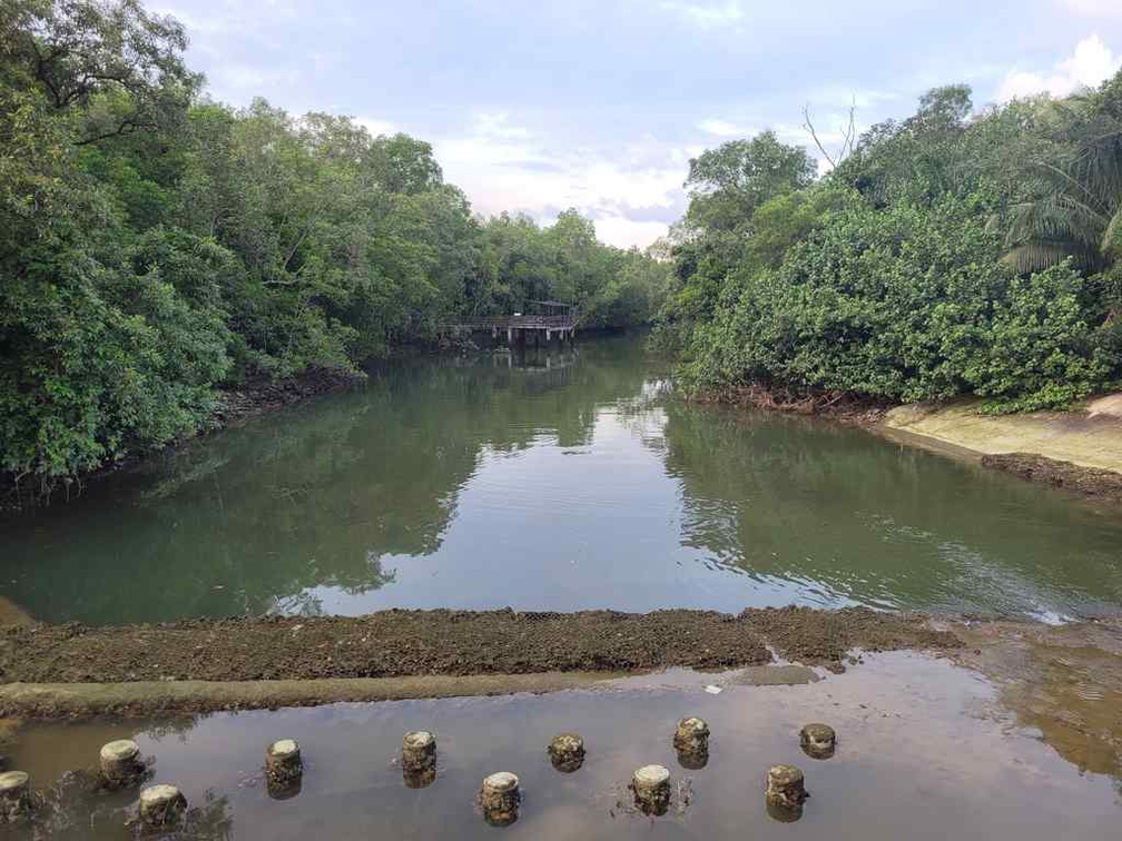 pasir-ris-park-run-07
