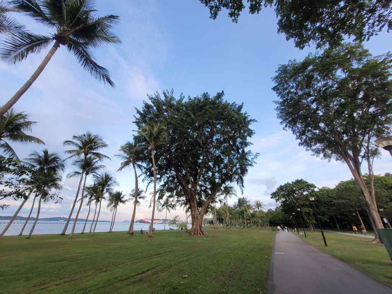 pasir-ris-park-run-13