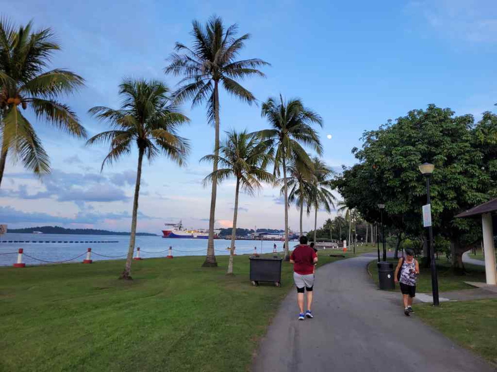 pasir-ris-park-run-16