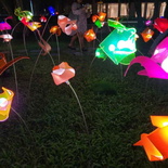 ilight-singapore-2025-16
