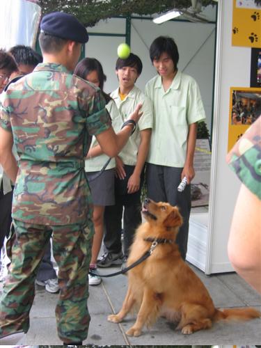 Here we get a K-9 demo from the K-9 unit.