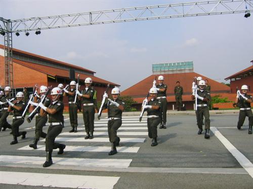 next is the MP precision drill display.