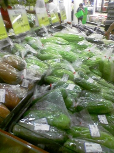 ntuc_plas_04.jpg