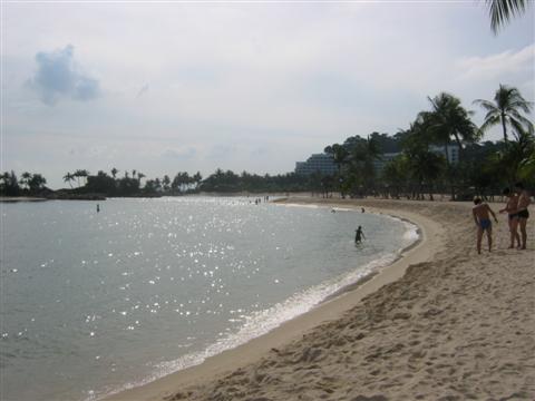 Always loved the view of beach lines