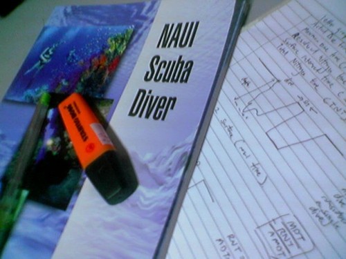 naui_scuba_dive.jpg