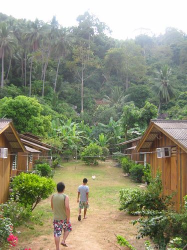 our cozy little &amp;quot;chalet&amp;quot; huts