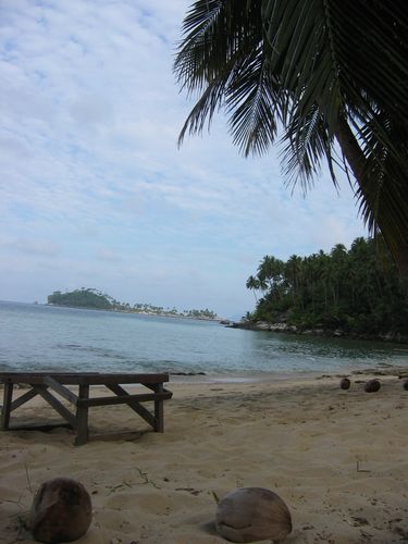 more coconuts &amp;amp; beaches...