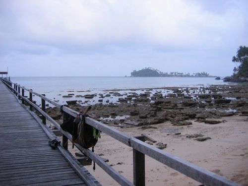 the railings are a popular place for drying of BCs