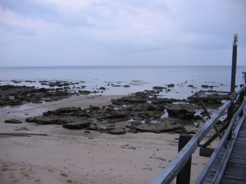 better view of the &quot;beached&quot; buoys at low tide