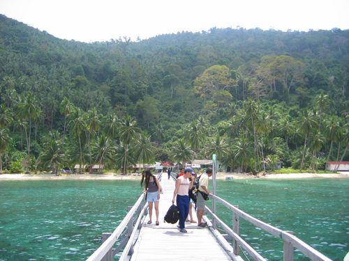 &amp; its now where we actually get to see sotong in the water!