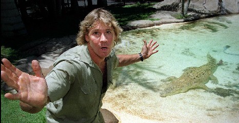 In Memory of Steve Irwin.