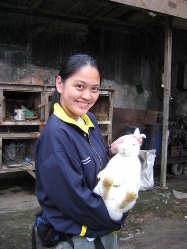 We were brought around the orphanage farms with vegatable farms, pigs and rabbits!